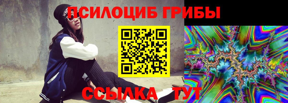 Псилоцибиновые грибы прущие грибы  Псилоцибиновые грибы Psilocybe  Шелехов  Вход с VPN 